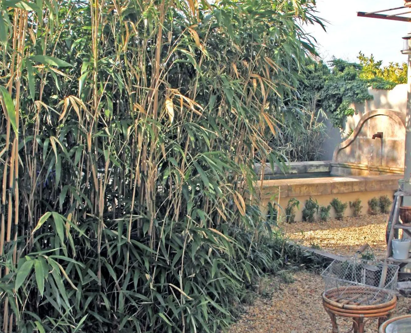 Le Cabanon Du Clos L'Isle-sur-la-Sorgue